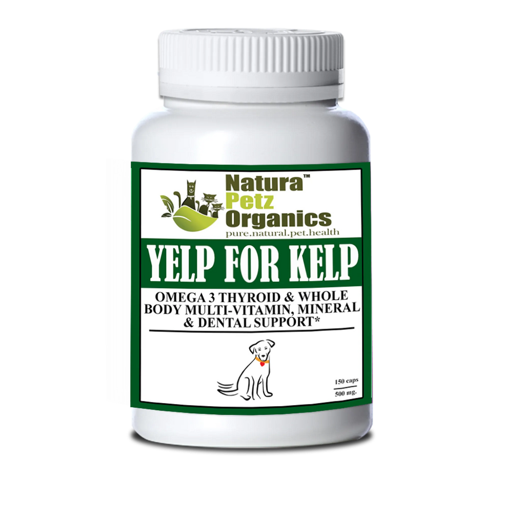 Yelp For Kelp - Omega 3 y 6, apoyo para la tiroides y multimineral, vitamínico y dental para todo el cuerpo*