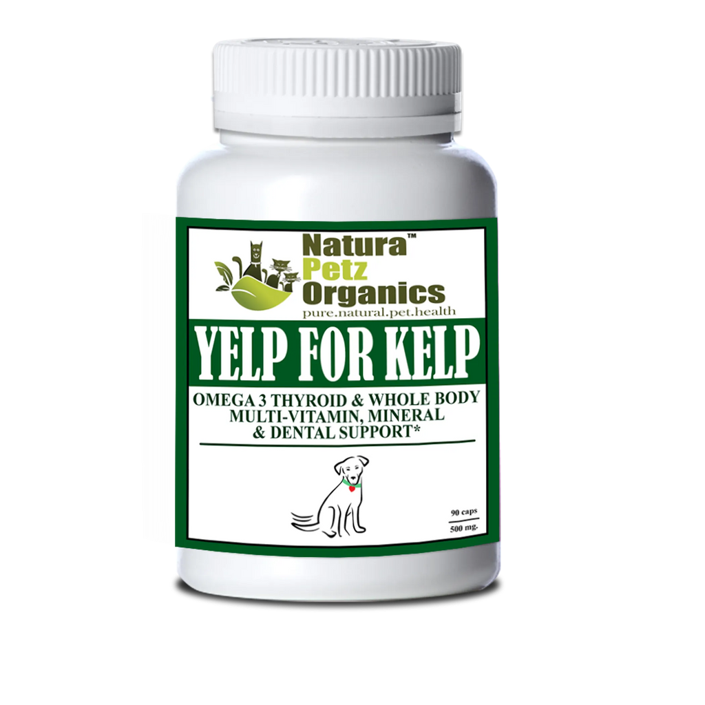 Yelp For Kelp - Omega 3 y 6, apoyo para la tiroides y multimineral, vitamínico y dental para todo el cuerpo*