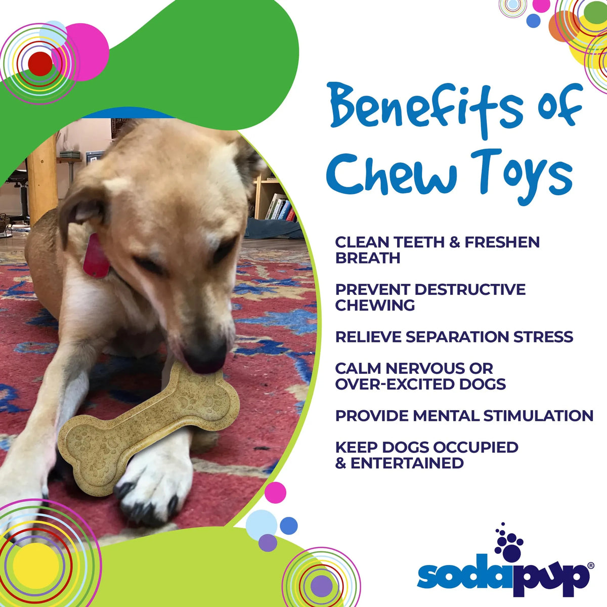 Bone eChew Ultra Durable Nylon Dog Chew Toy for Aggressive Chewers