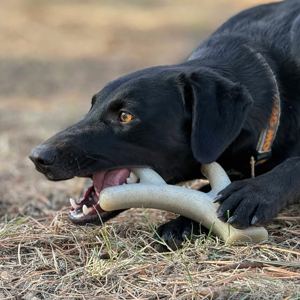 Ever Antler Nylon Chew Bone | Elk Antler Shaped Dog Toy for Aggressive Chewers