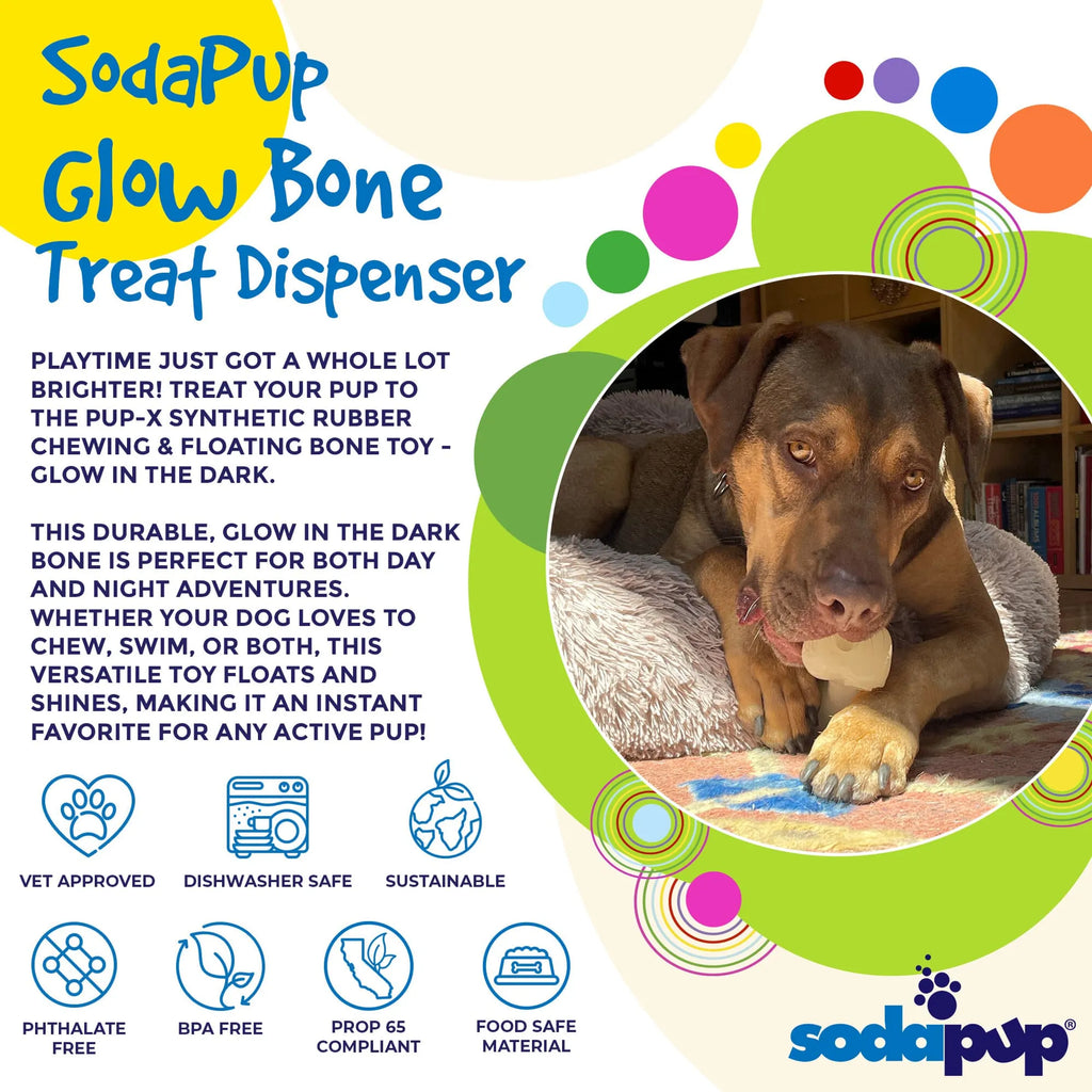 PUP-X Rubber Bone Dog Toy - Durable, Floats, Chew Toy
